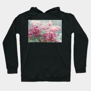 Frosted Winter Berries Hoodie